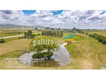 https://www.gallito.com.uy/chacra-con-casa-de-5ha-en-pueblo-eden-ruta-12-inmuebles-23180478