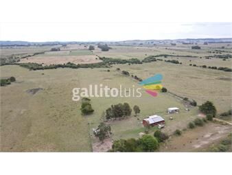 https://www.gallito.com.uy/chacra-de-5ha-con-casa-ruta-39-maldonado-inmuebles-23423960