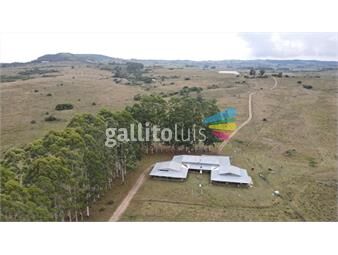 https://www.gallito.com.uy/campo-con-casa-e-instalaciones-en-pueblo-eden-89ha-inmuebles-23518196