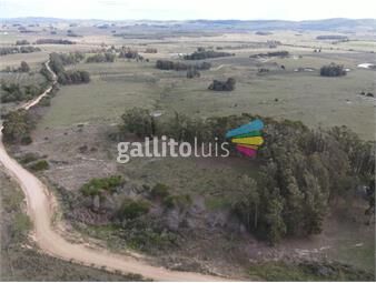 https://www.gallito.com.uy/chacra-de-5ha-maldonado-con-vista-a-las-sierras-inmuebles-24269843