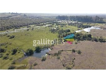 https://www.gallito.com.uy/campo-540ha-en-salto-ref-6785-inmuebles-25514428