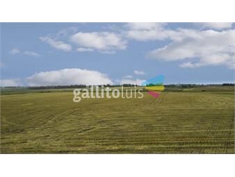 https://www.gallito.com.uy/campo-de-200ha-agricolas-en-durazno-inmuebles-24578413