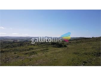 https://www.gallito.com.uy/campo-en-venta-en-maldonado-114-has-inmuebles-25486693