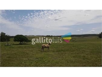 https://www.gallito.com.uy/chacra-de-17ha-sobre-ruta-39-a-minutos-del-mar-inmuebles-24668672