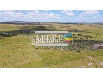 https://www.gallito.com.uy/campo-en-venta-en-lavalleja-atm-7410-inmuebles-24987018