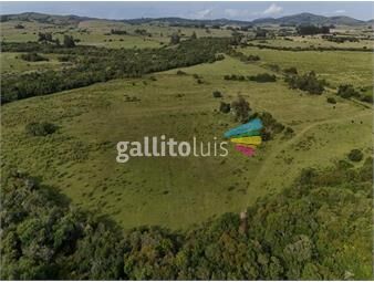 https://www.gallito.com.uy/chacra-de-11ha-pueblo-eden-con-arroyo-inmuebles-24907295