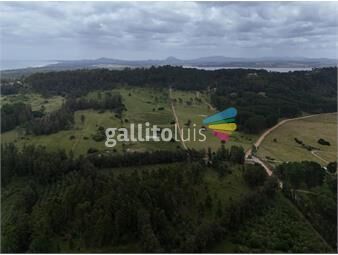 https://www.gallito.com.uy/chacras-de-5-ha-lapataia-punta-del-este-inmuebles-24936872