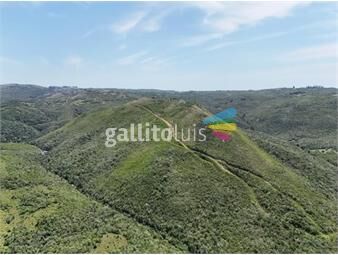 https://www.gallito.com.uy/campo-de-151ha-en-las-sierras-de-maldonado-inmuebles-25097807