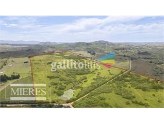 https://www.gallito.com.uy/campo-de-40ha-maldonado-con-arroyo-y-vista-a-las-sierras-inmuebles-25478982