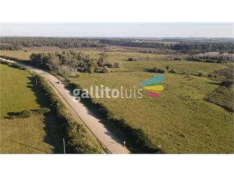 https://www.gallito.com.uy/campo-de-38-ha-en-solis-de-mataojo-inmuebles-25730166