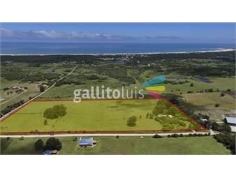 https://www.gallito.com.uy/5-has-a-la-venta-en-jose-ignacio-inmuebles-22992313