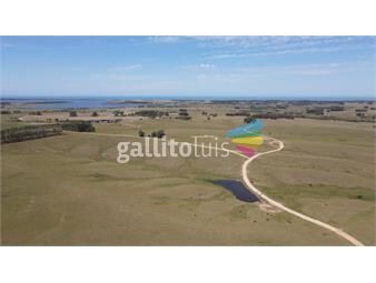 https://www.gallito.com.uy/campo-en-venta-inmuebles-23823209