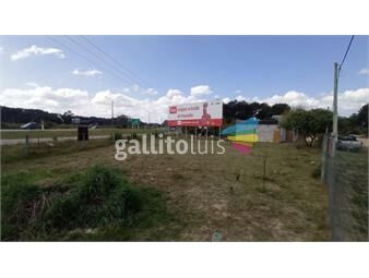 https://www.gallito.com.uy/terreno-con-mejoras-y-cartel-rutero-chihuahua-ref-6778-inmuebles-22511858