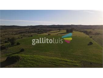 https://www.gallito.com.uy/campo-de-270ha-en-pueblo-eden-maldonado-inmuebles-26085735