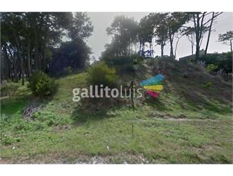 https://www.gallito.com.uy/venta-terreno-en-rincon-del-indio-apto-edificio-inmuebles-26085819