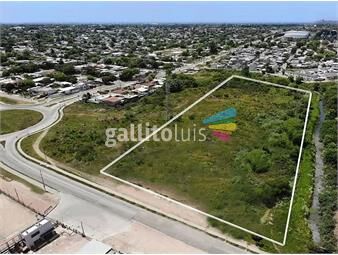 https://www.gallito.com.uy/venta-terreno-15112-m2-en-lecoq-y-propios-inmuebles-24269106