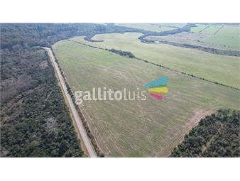 https://www.gallito.com.uy/excepcional-fraccion-agricola-en-colonia-inmuebles-25924501