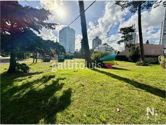 https://www.gallito.com.uy/en-venta-terreno-en-roosevelt-punta-del-este-de-534m2-inmuebles-25703321