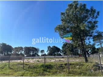 https://www.gallito.com.uy/venta-de-terreno-en-solymar-canelones-inmuebles-26096355