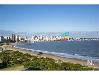 https://www.gallito.com.uy/departamento-en-venta-torre-tamanaco-frente-al-mar-punta-inmuebles-25035465