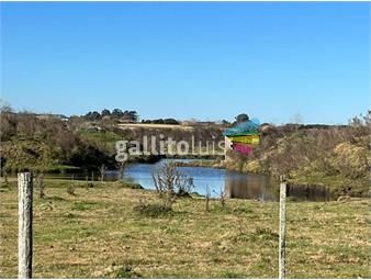 https://www.gallito.com.uy/campo-16-hectareas-en-canelones-entre-ruta-101-y-102-inmuebles-26089405