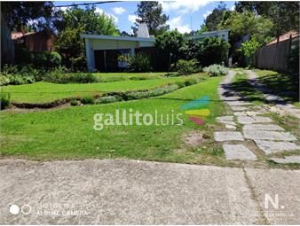 https://www.gallito.com.uy/amplia-casa-sobre-parada-36-de-camino-a-la-laguna-inmuebles-24987374