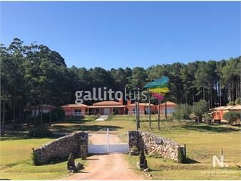 https://www.gallito.com.uy/casa-con-estilo-y-diseão-inmuebles-25035782