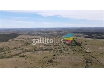 https://www.gallito.com.uy/campo-de-119ha-panoramico-en-maldonado-inmuebles-26114758