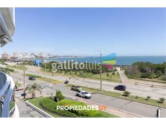 https://www.gallito.com.uy/disponible-primer-quincena-de-enero-2025-playa-mansa-inmuebles-26117249