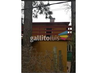 https://www.gallito.com.uy/alquiler-apartamento-1-dormitorio-terraza-parrillero-cer-inmuebles-26117649