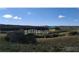 https://www.gallito.com.uy/chacra-20-ha-sierras-garzon-sobre-camino-y-costa-al-arroyo-inmuebles-25648898