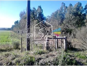 https://www.gallito.com.uy/venta-campo-3-hectareas-en-zona-de-atlantida-inmuebles-26122223