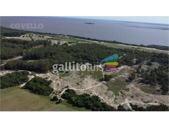 https://www.gallito.com.uy/campo-de-205-has-con-costa-al-rio-de-la-plata-en-carmelo-inmuebles-24717733