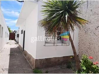 https://www.gallito.com.uy/casa-en-alquiler-2-dormitorios-1-baã±o-patio-ayuã­-la-inmuebles-26125182