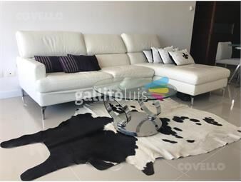 https://www.gallito.com.uy/departamento-playa-brava-inmuebles-26125599