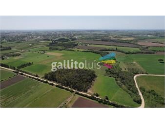 https://www.gallito.com.uy/colonia-valdense-6-2-has-inmuebles-22481202