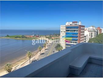 https://www.gallito.com.uy/apartamento-en-venta-de-1-dormitorio-en-pocitos-inmuebles-25934447