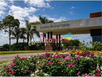 https://www.gallito.com.uy/chacra-en-venta-laguna-de-los-cisnes-punta-del-este-inmuebles-26130208