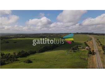 https://www.gallito.com.uy/campo-de-420ha-en-rocha-ganadero-sobre-ruta-inmuebles-26140087