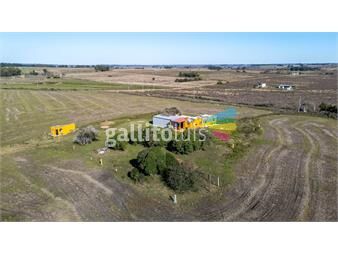 https://www.gallito.com.uy/campo-en-venta-25-hectareas-migues-canelones-inmuebles-25786738