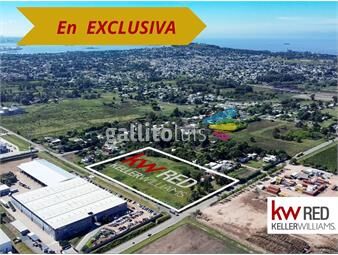 https://www.gallito.com.uy/venta-deposito-en-paso-de-la-arena-polo-oeste-inmuebles-25166032