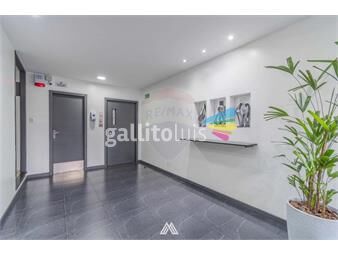 https://www.gallito.com.uy/venta-aptartamento-2-dormitorios-centro-inmuebles-26150741