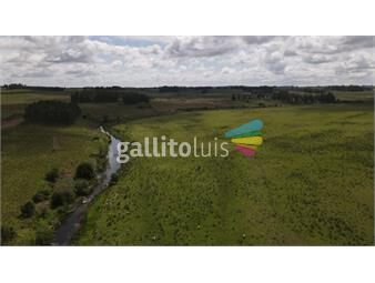 https://www.gallito.com.uy/campo-287-hectareas-ganadero-excelente-ubicacion-lavalle-inmuebles-26144433