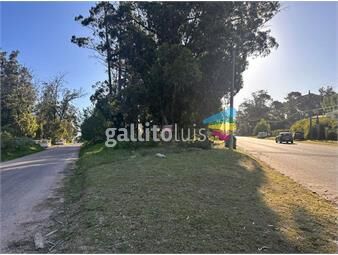 https://www.gallito.com.uy/venta-lote-en-barrio-beverly-hills-inmuebles-26147012