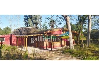 https://www.gallito.com.uy/venta-chacra-7-has-con-buena-casa-de-3-dorm-sobre-ruta-87-s-inmuebles-25377532