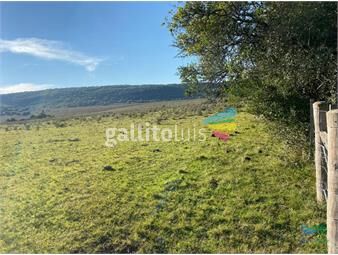 https://www.gallito.com.uy/buen-campo-mixto-a-1-hora-de-punta-buen-acceso-e-instalaci-inmuebles-23758995