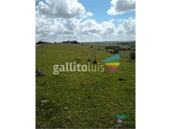 https://www.gallito.com.uy/linda-fraccion-de-campo-agricola-ganadero-177-has-castill-inmuebles-23468579