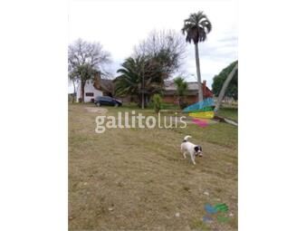 https://www.gallito.com.uy/buen-campo-ganadero-con-muy-buen-acceso-sobre-ruta-inmuebles-24717522