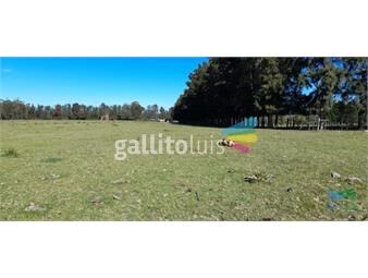 https://www.gallito.com.uy/buen-campo-agricola-muy-bien-ubicado-83-has-inmuebles-24245564