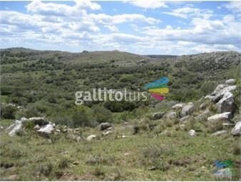 https://www.gallito.com.uy/177-has-campo-de-sierras-cañada-monte-nativo-inmuebles-22538561